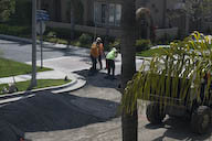 Image IMG_1969.jpg