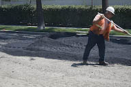 Image IMG_1986.jpg