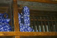 Image P0011567.jpg