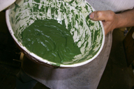 Image P0011645.jpg