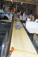 Image P0011712.jpg