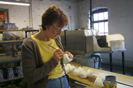 Image P0011766.jpg