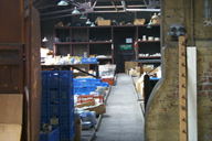 Image P0011780.jpg