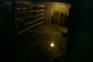Image P0011867.jpg