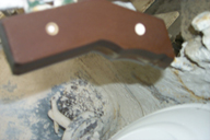 Image P0011878.jpg