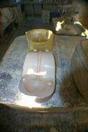 Image P0011923.jpg